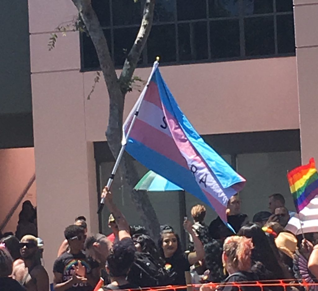 Transgender Sephora flag